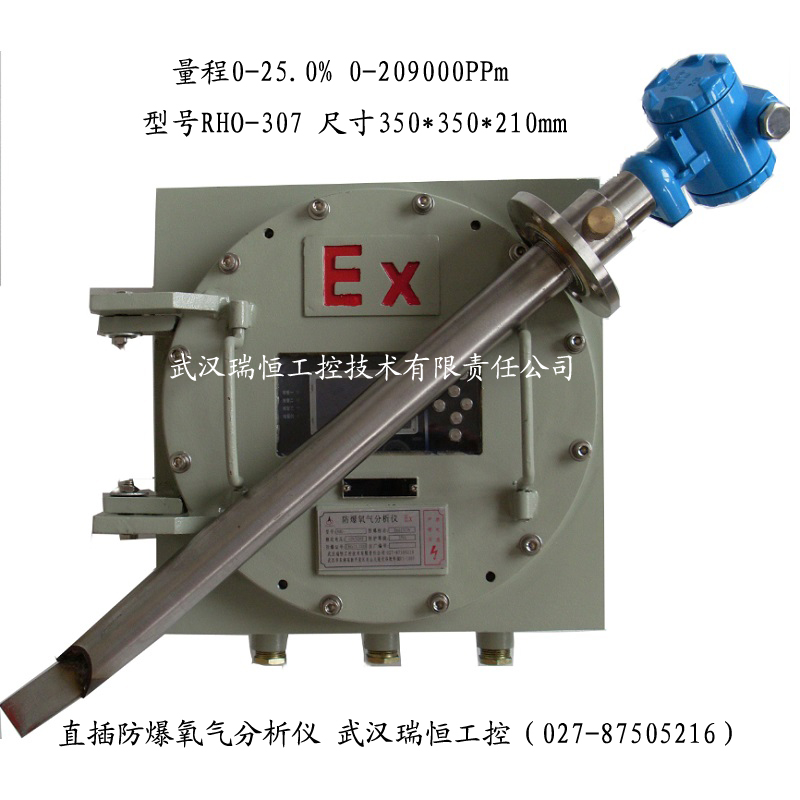 RHO-307直插防爆氧气分析仪