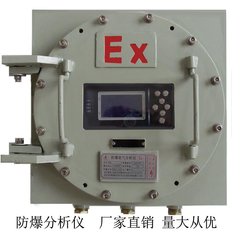 RHO-304壁挂防爆高量程氧气分析仪